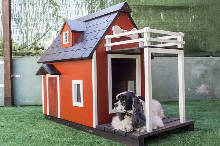 outdoor dog kennel with roof